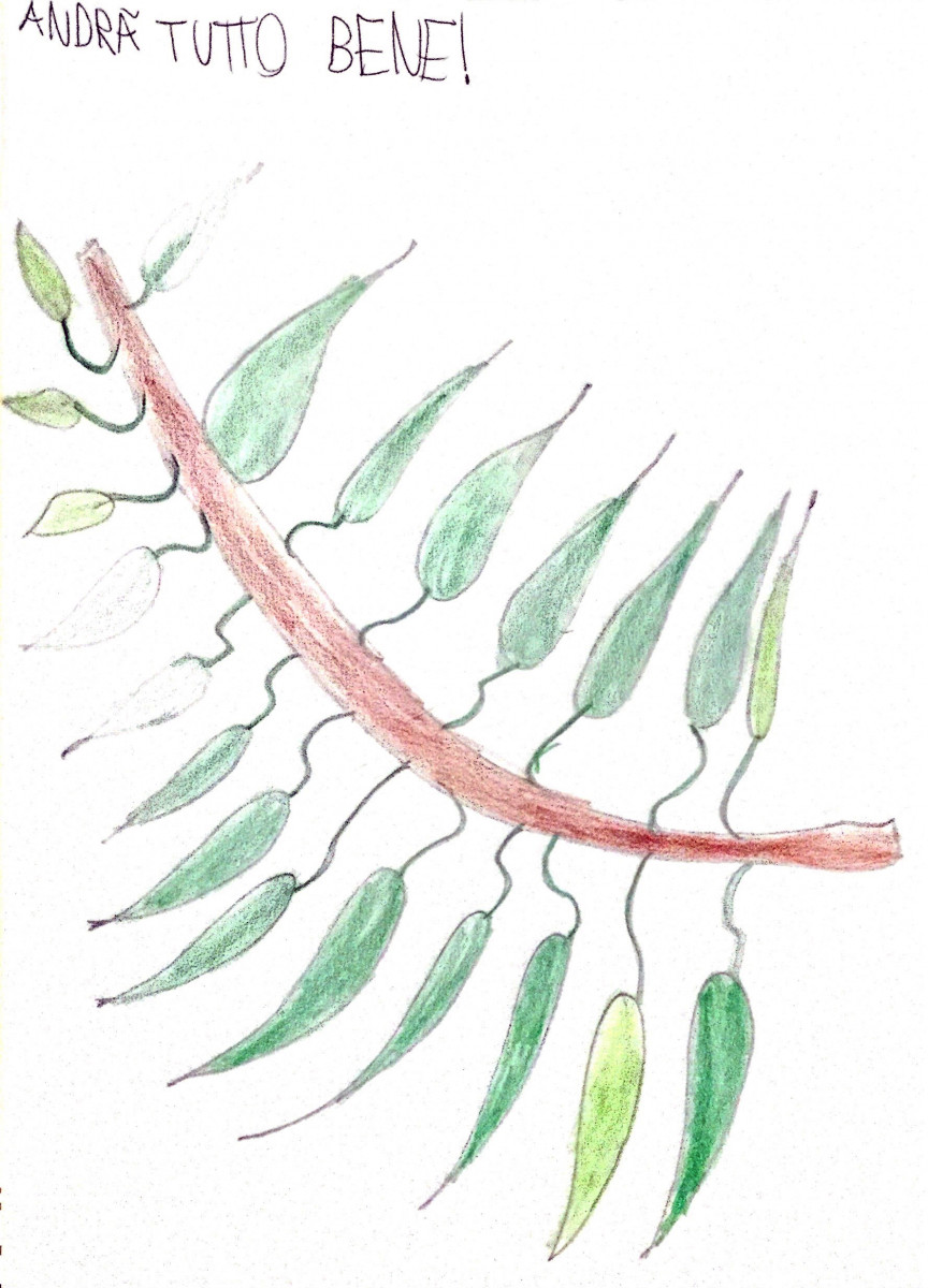 Flavio Marinelli - Gruppo Accoglienza